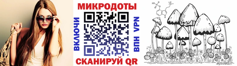 наркота Нерюнгри даркнет формула Галлюциногенные грибы GOLDEN TEACHER