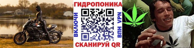 купить Нерюнгри KRAKEN ТОР Каннабис Bruce Banner